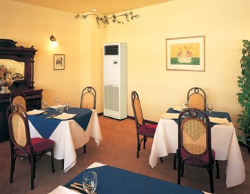 Salon Tipi